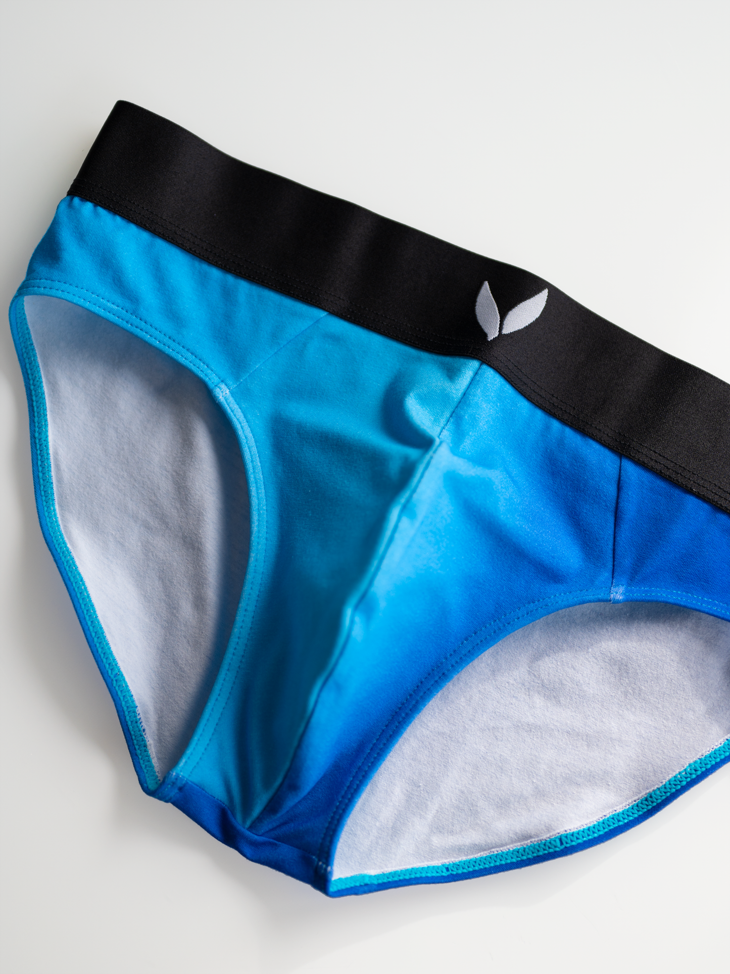 Ombre Gradient Classic Briefs - Blue